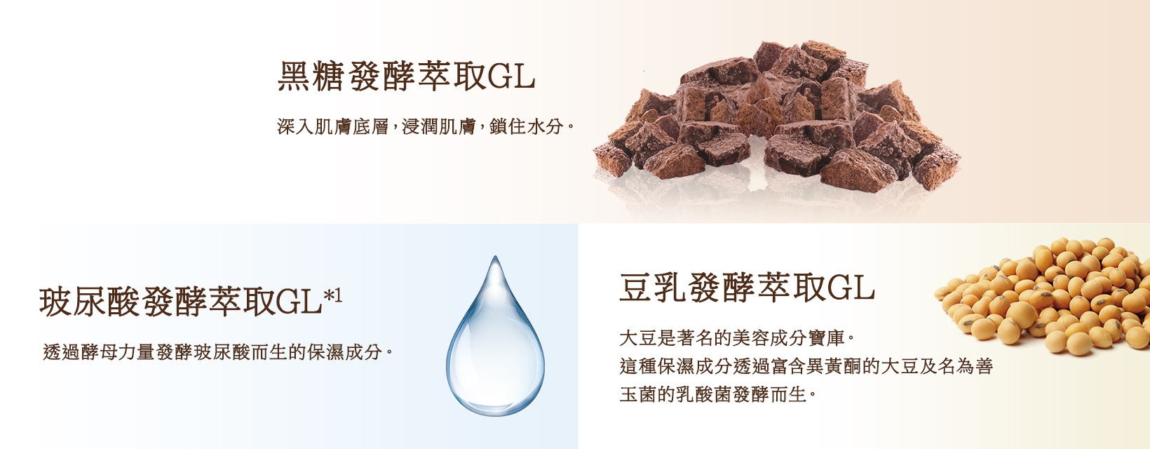 黒糖発酵エキスGL / ヒアルロン酸発酵エキスGL※1 / 豆乳発酵エキスGL