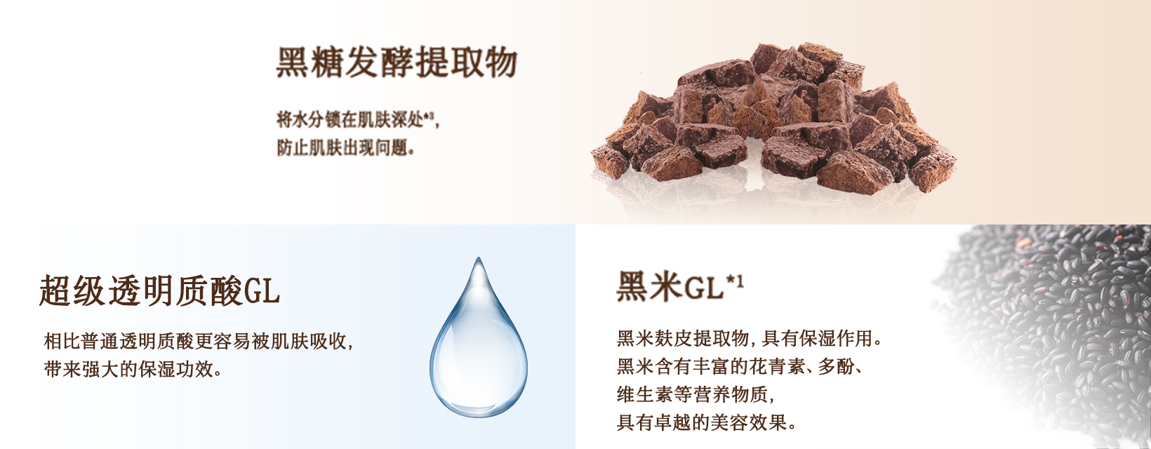黒糖発酵エキス / スーパーヒアルロン酸GL / 黒米エキスGL※1