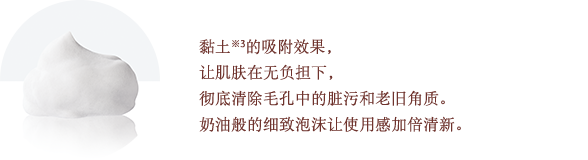 黏土※3 的吸附效果，讓肌膚在無負擔下，徹底清除毛孔中的髒汙和老舊角質。奶油般的細緻泡沫讓使用感加倍清新。