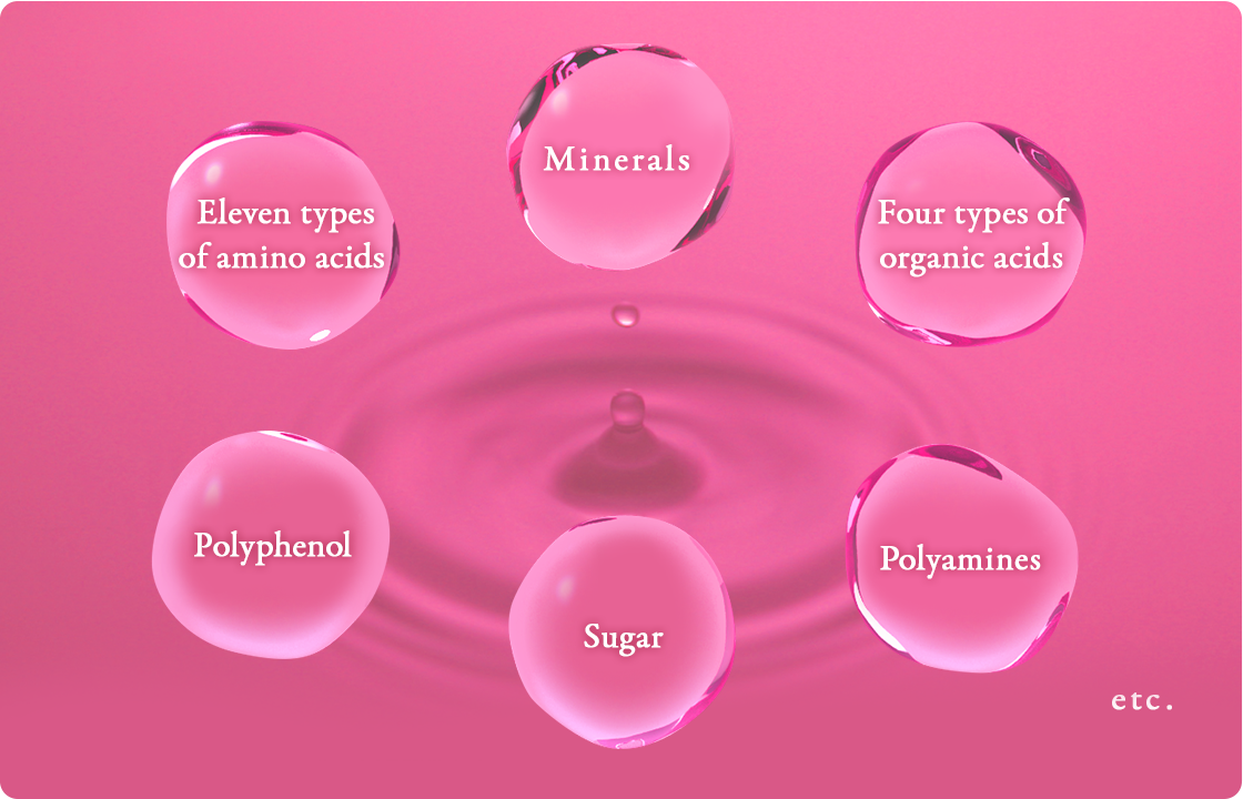 Minerals Four types of organic acids Polyamines Sugar Polyphenol Eleven types of amino acids etc.