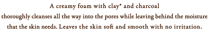 クレイ＊&炭配合のクリーミィな泡で必要なうるおいは残しながら、毛穴の汚れまですっきりクリア。つっぱらず、つるつるすべすべ肌へ。