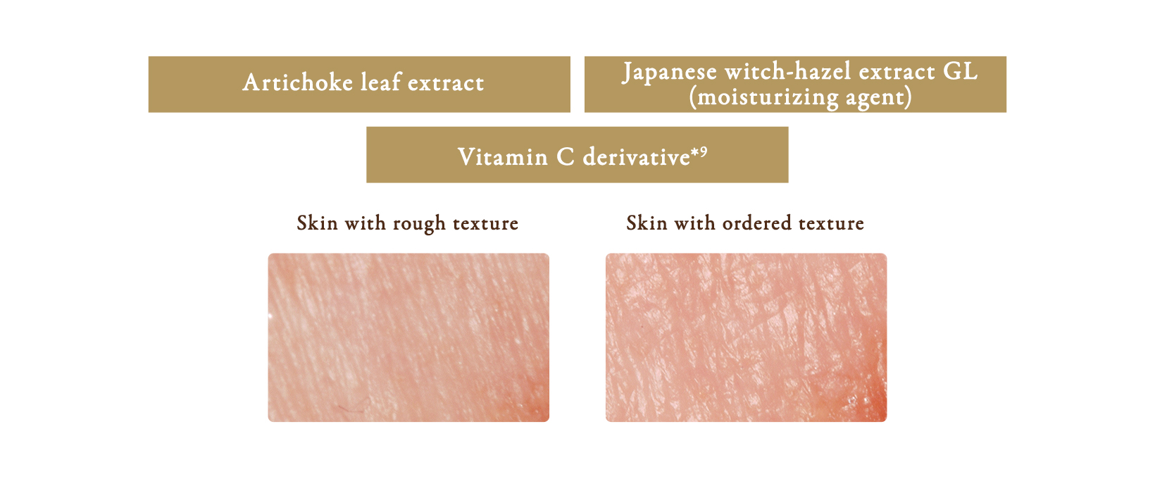 Artichoke leaf extract GL (moisturizing agent) / Japanese witch-hazel extract GL (moisturizing agent) / Vitamin C derivative*9（製品の抗酸化剤）