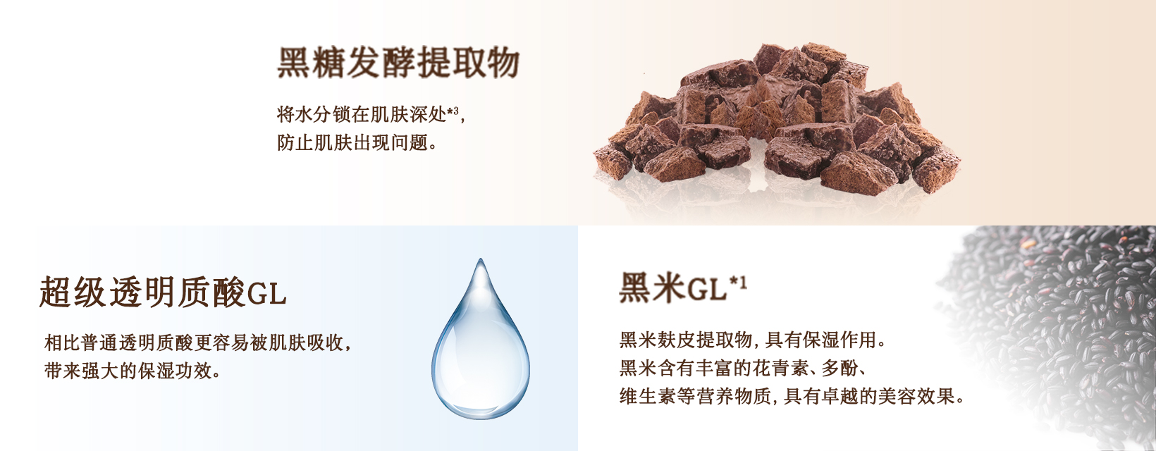 黒糖発酵エキス / スーパーヒアルロン酸GL / 黒米エキスGL※1
